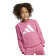 Adidas Παιδικές φόρμες σετ Essentials Big Logo French Terry Joggers Set